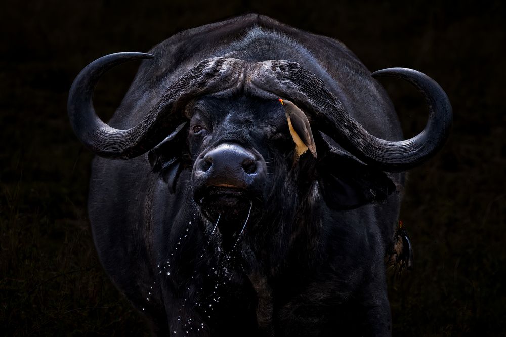 Photograph by Николай Мозгунов