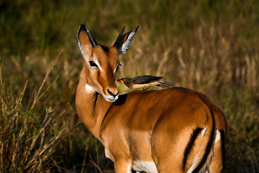 Photograph by Николай Мозгунов