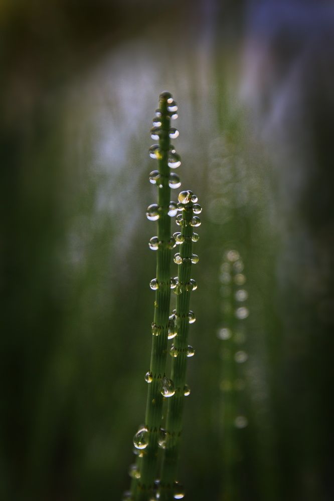 Photograph by Елена Ласун