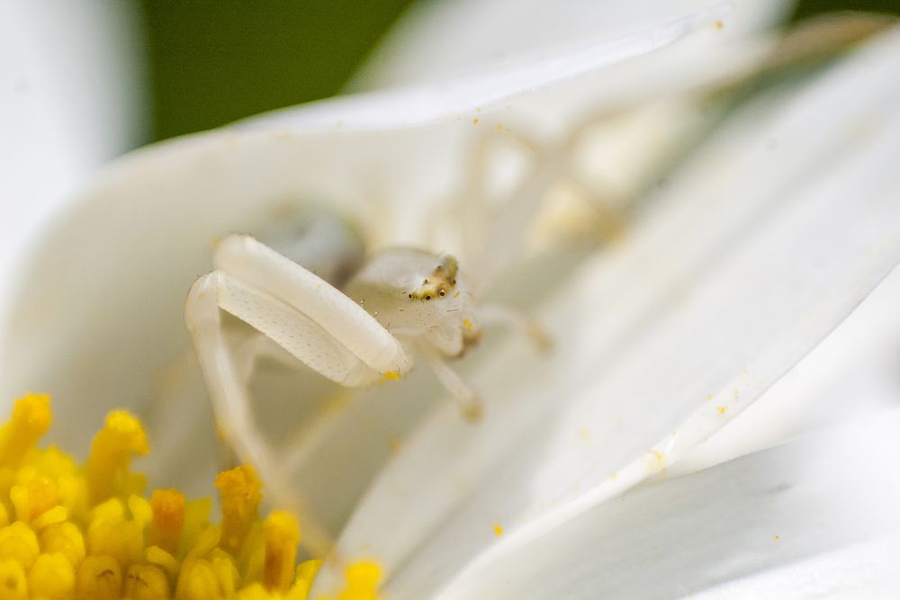 Photograph by Роман Приходько