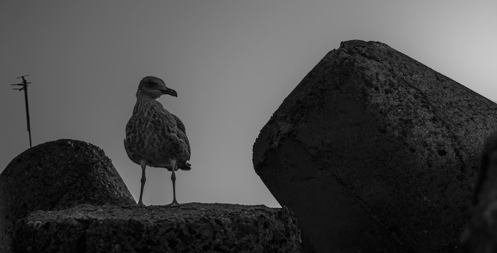 Фотография автора Milena Ivanova