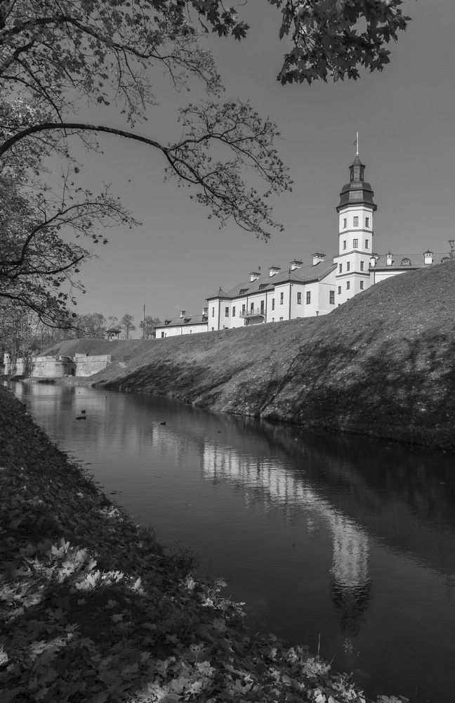 Photograph by Евгения