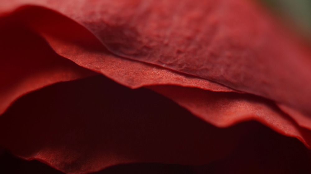 Photograph by Лиза Малыгина