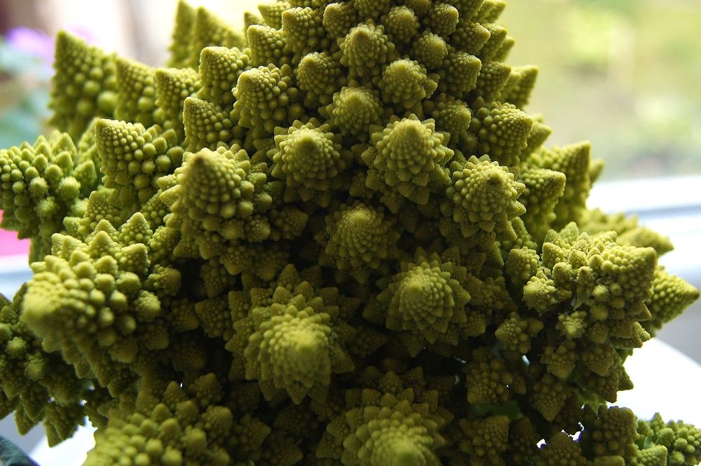 Капуста Романеско