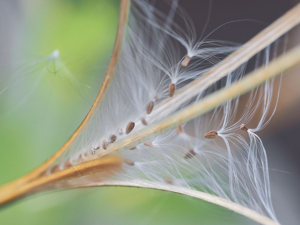 Photograph by Ирина Протченко