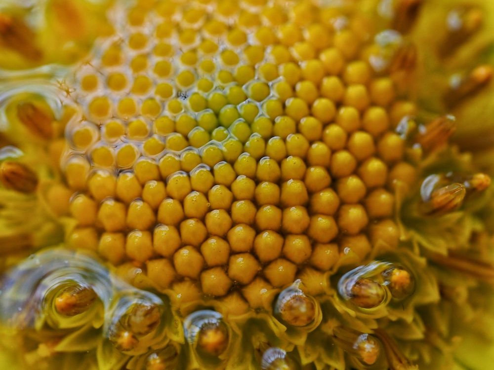 Photograph by Сергей Пермин