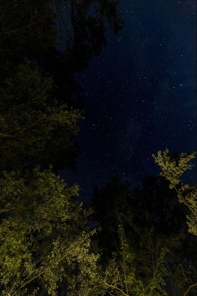 Photograph by Иван Горгуленко