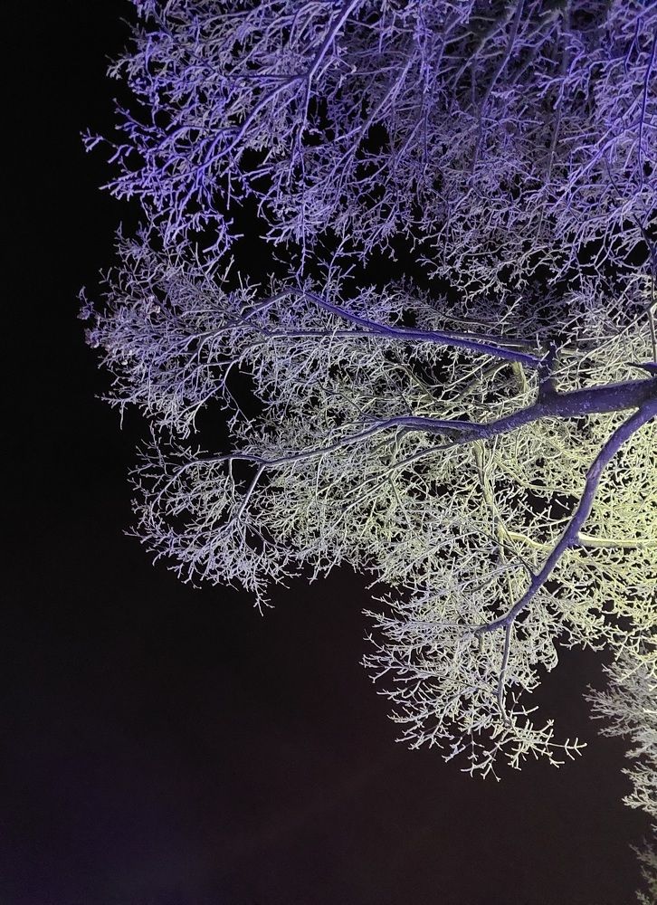 Photograph by Анастасия