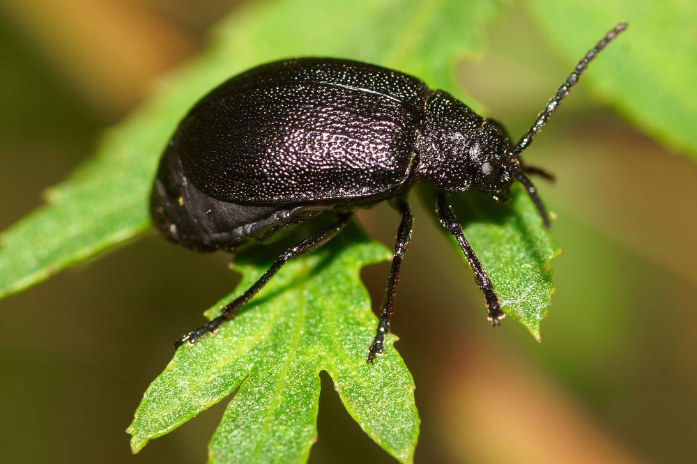 Photograph by сергей воробьёв