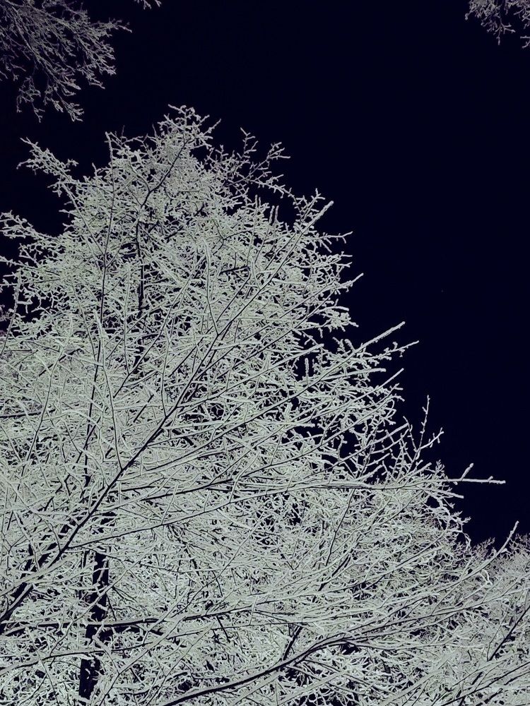 Photograph by Анастасия