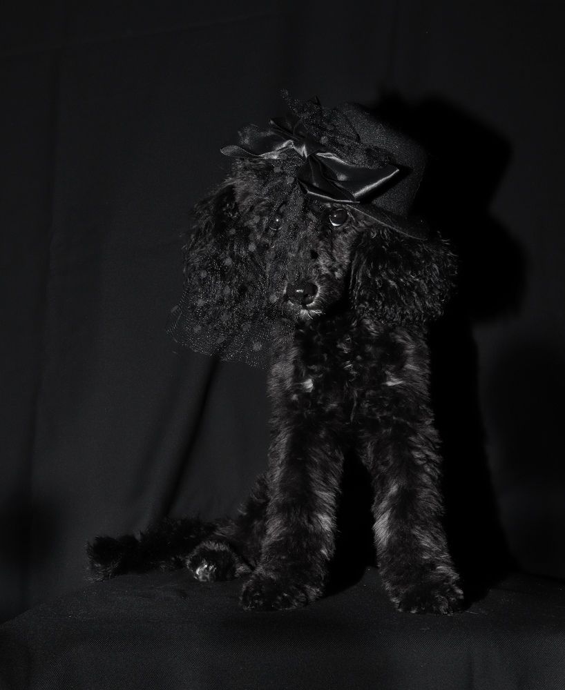 Photograph by Гуляева Светлана