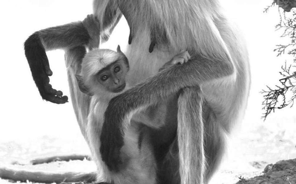 Safest place in the world