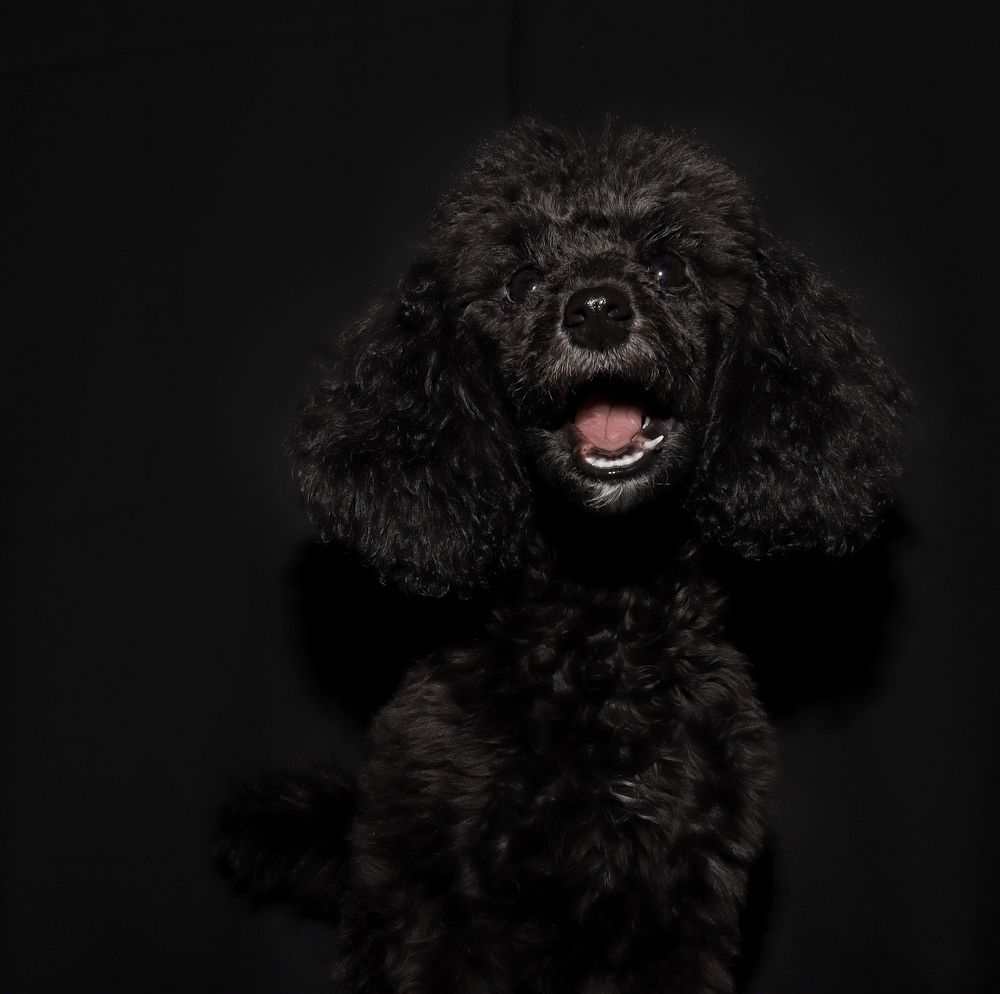 Photograph by Гуляева Светлана