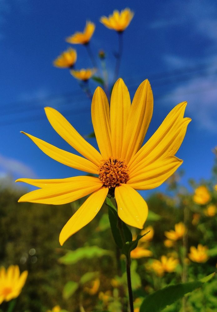 Photograph by ANDREY PERESHEIN