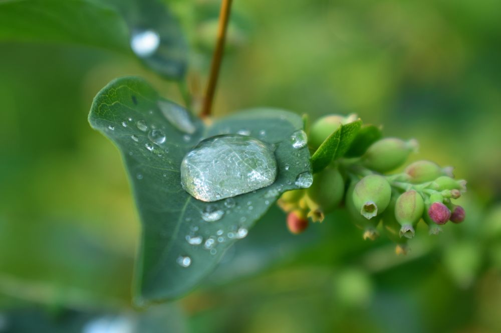 Photograph by Наталья Еременко