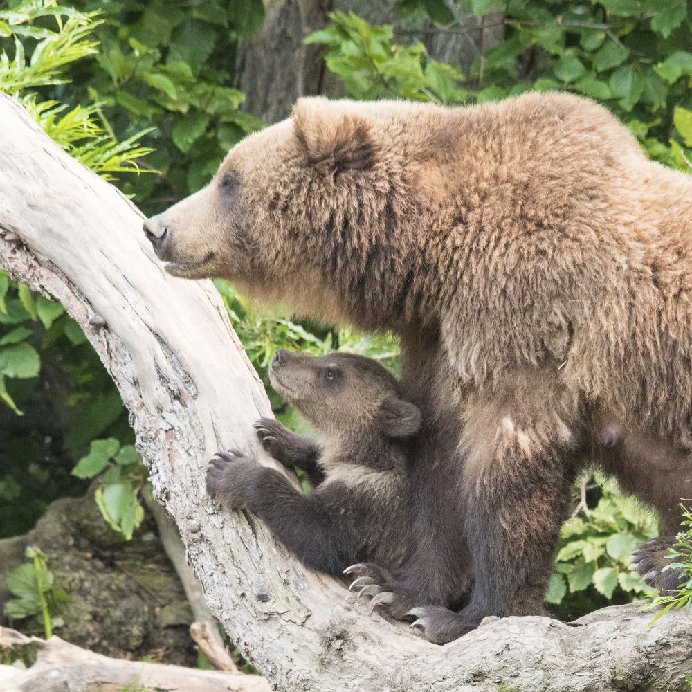 Photograph by Алексей Шаскольский