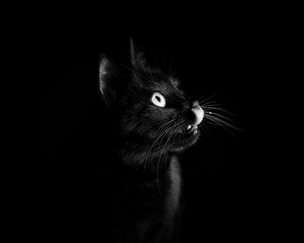 Photograph by Евгения Прокопович