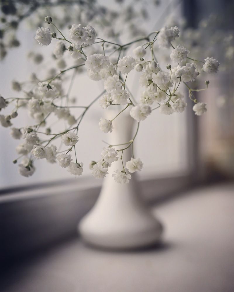 Photograph by Кира Бахвалова