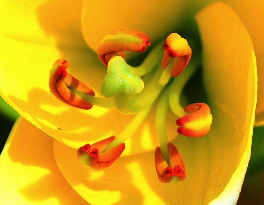 Photograph by ANDREY PERESHEIN