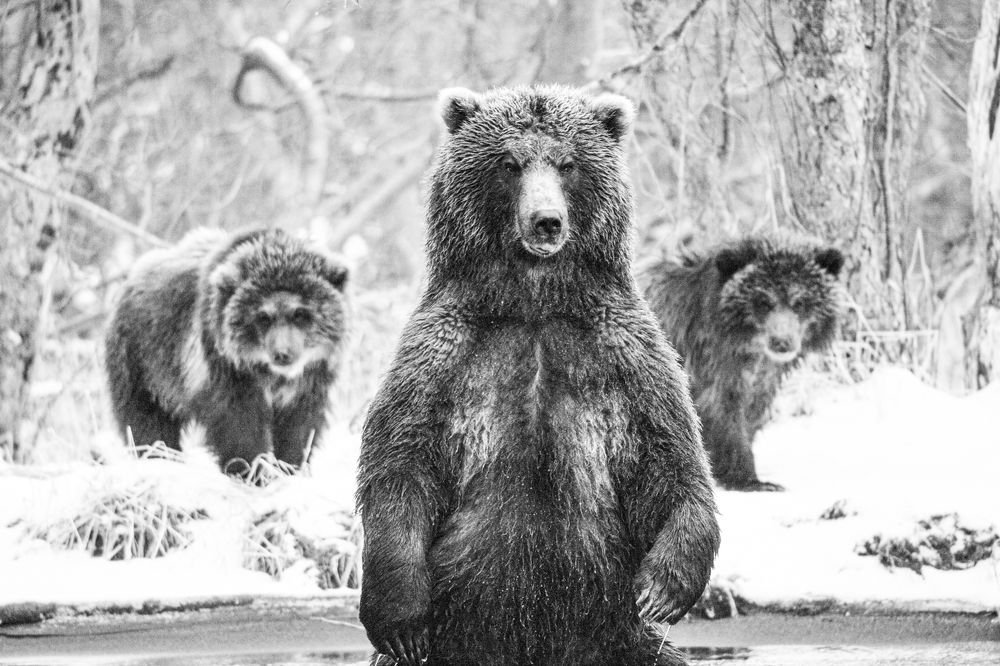 Photograph by Алексей Шаскольский