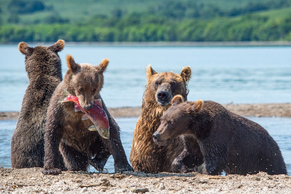 Photograph by Алексей Шаскольский