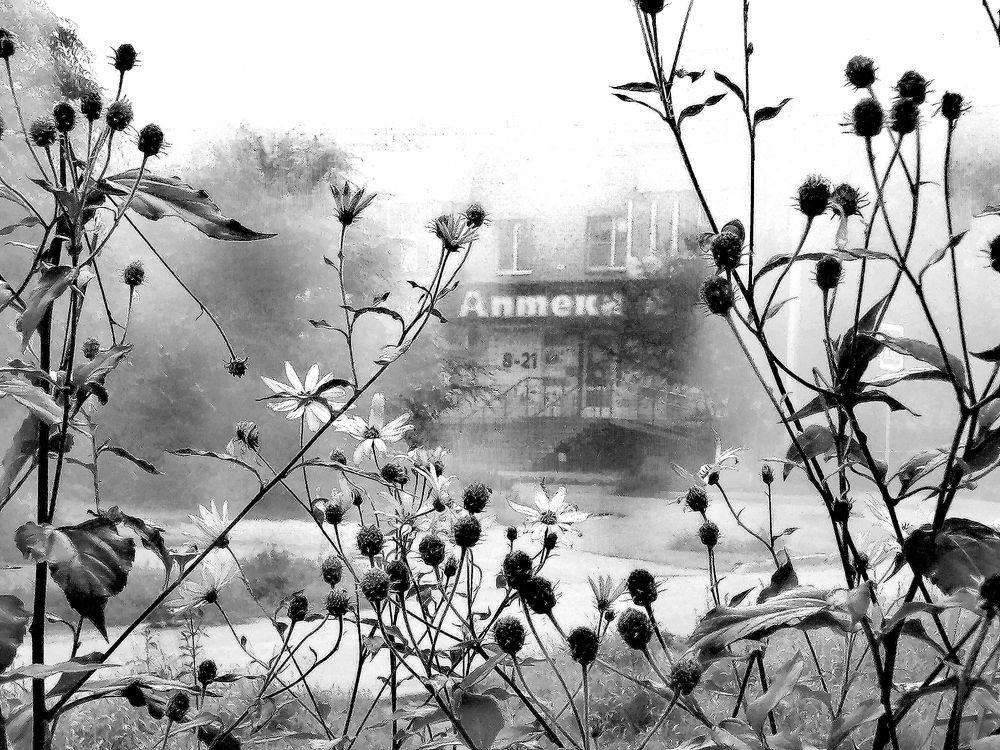 Photograph by Дмитрий Петренко