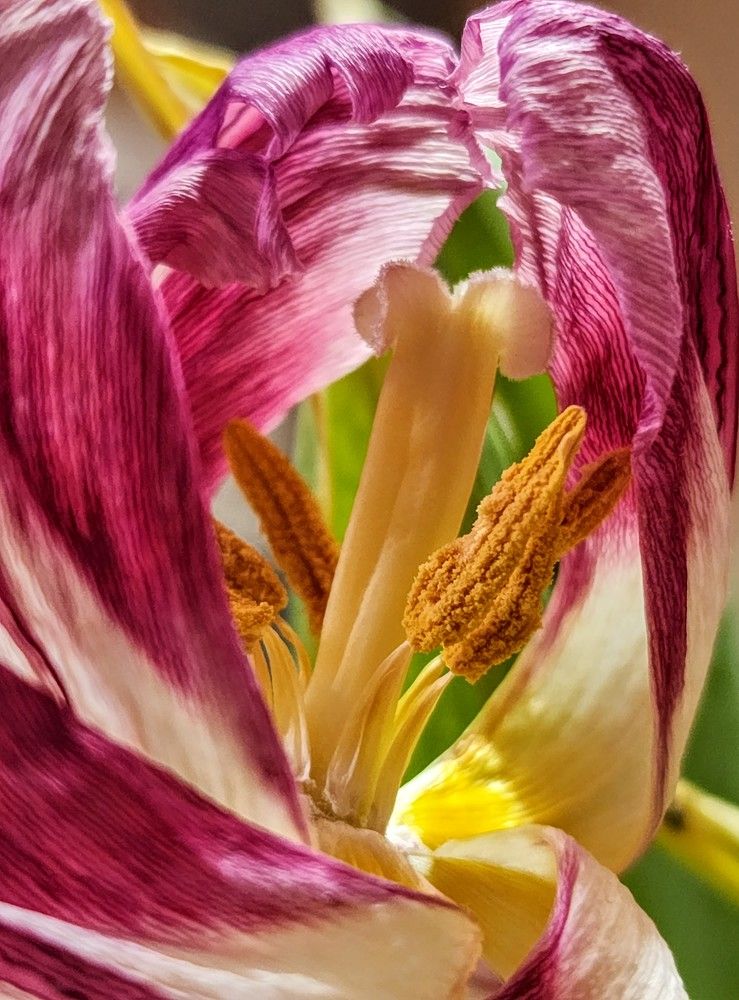 Photograph by Надежда Кудрявцева