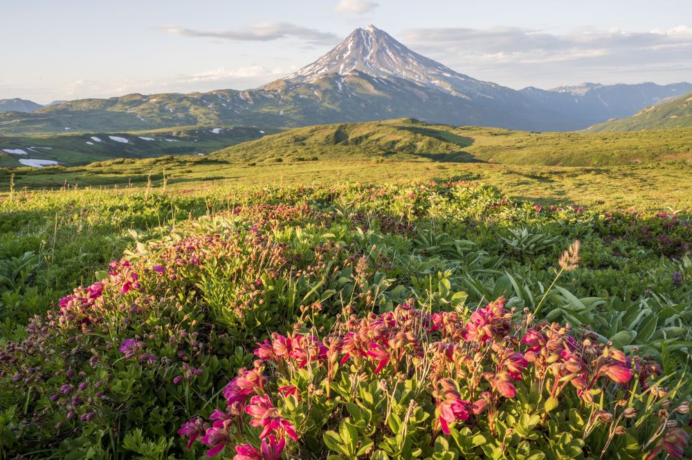 Photograph by Татьяна Решетникова