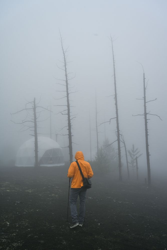 Photograph by Татьяна Решетникова