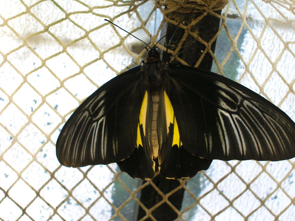 Photograph by Виталий Са