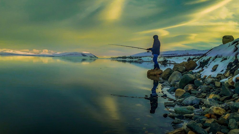 Фотография автора mohammad Alipour