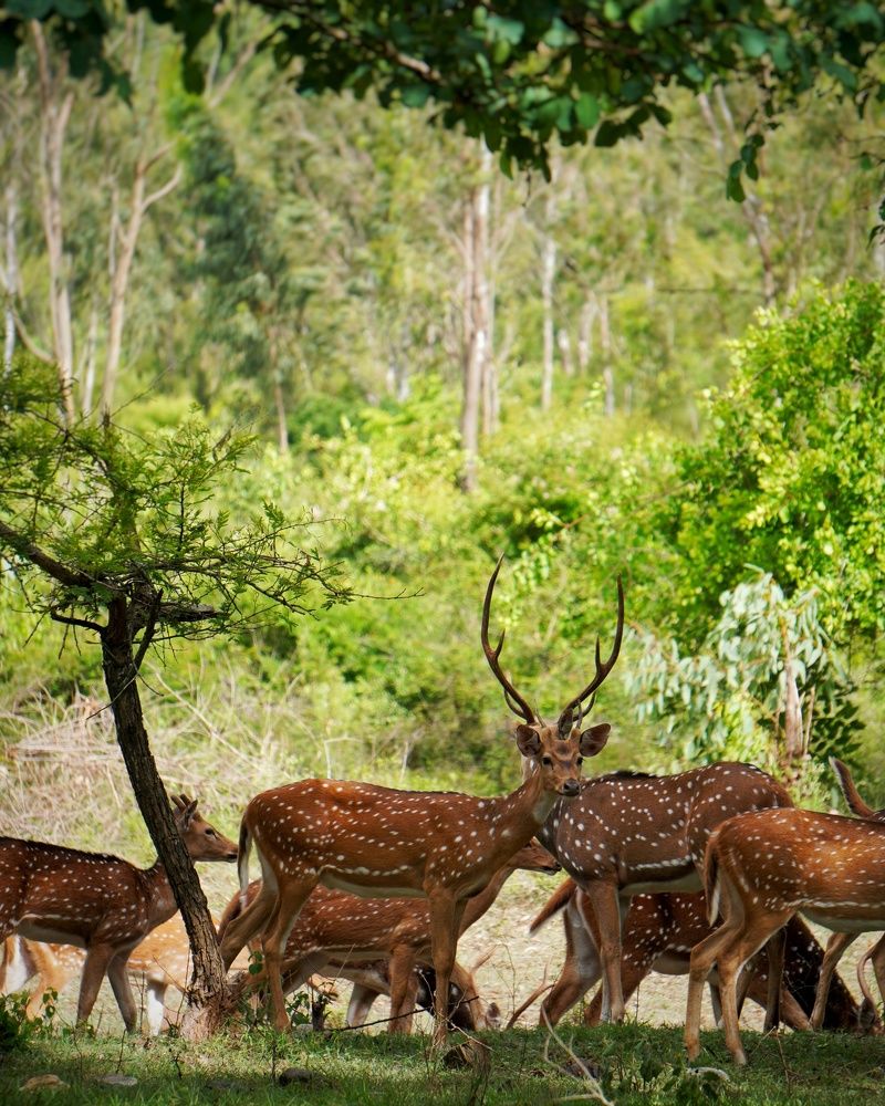 Фотография автора Revanth suresh