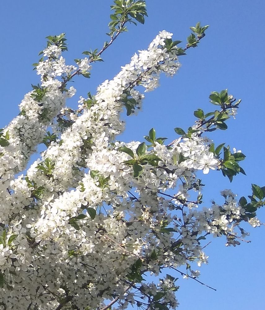 Photograph by Irinochka Zorina