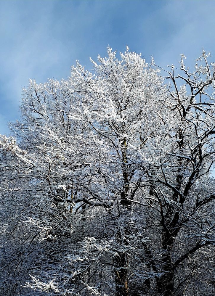 Photograph by Sonia Crotta