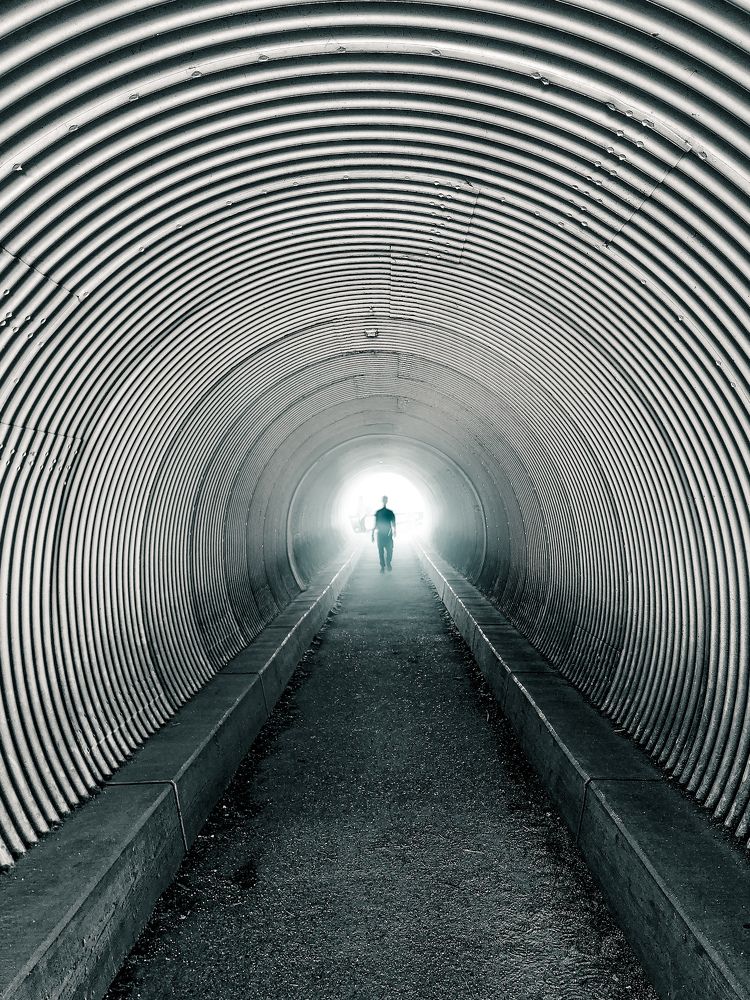 Photograph by Sanjana Prasad Sivakumar