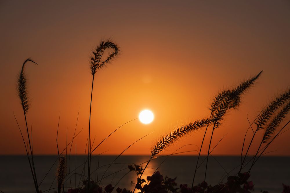 Photograph by Лия Яковлева