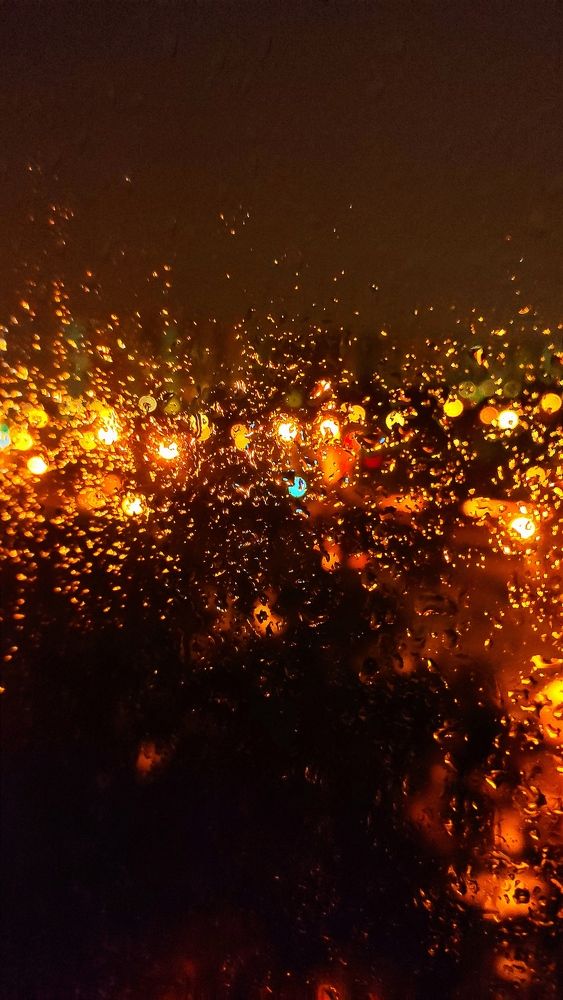 Фотография автора Васильева Ирина