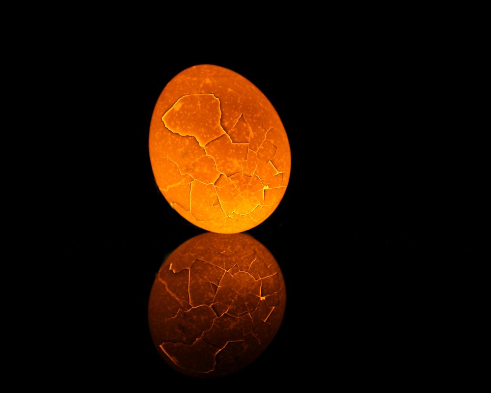 Photograph by Татьяна Кравченко