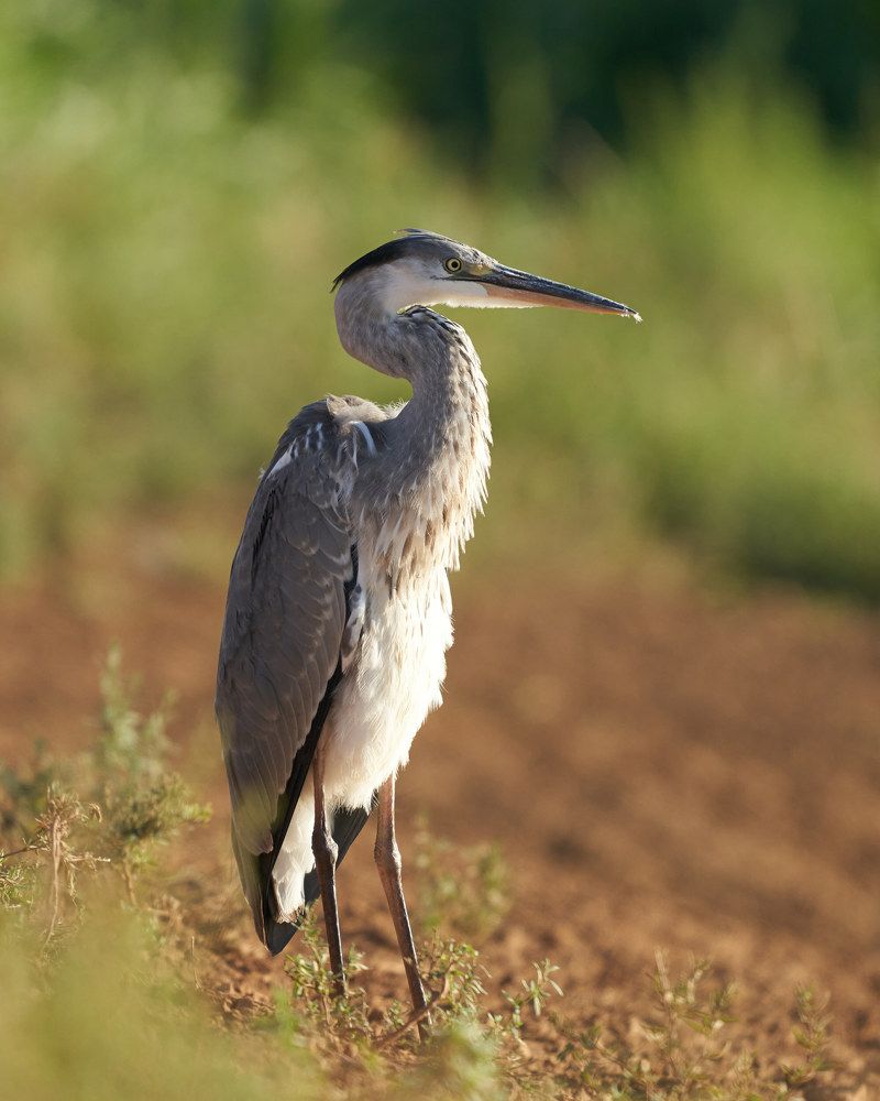 Photograph by Victor Krachkovsky