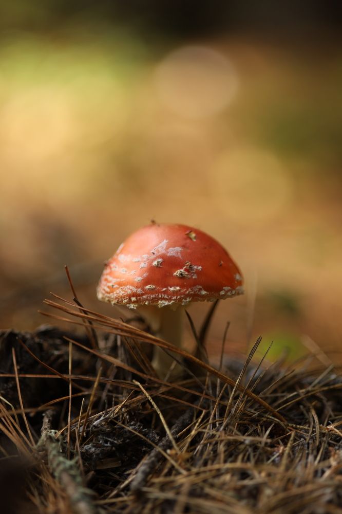 Photograph by Бальзирова Наталья