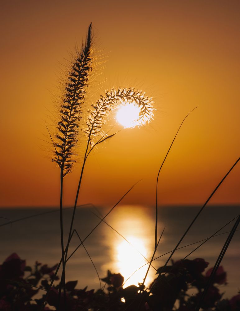 Photograph by Лия Яковлева