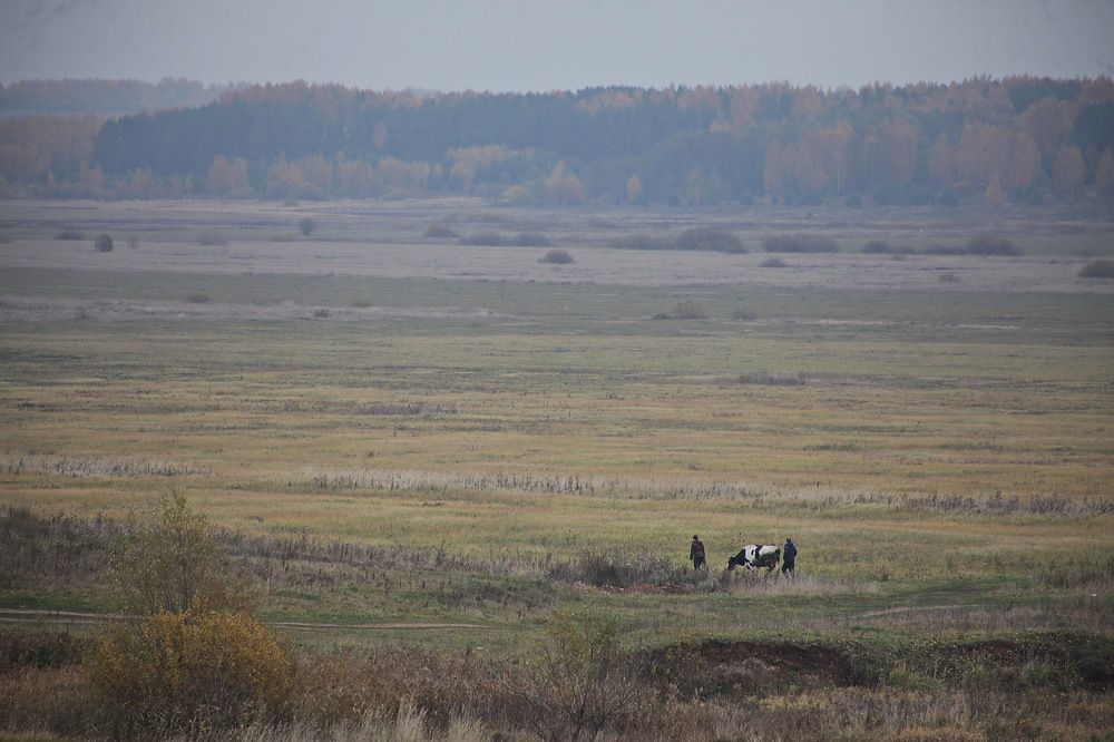 Photograph by Пётр Соколов