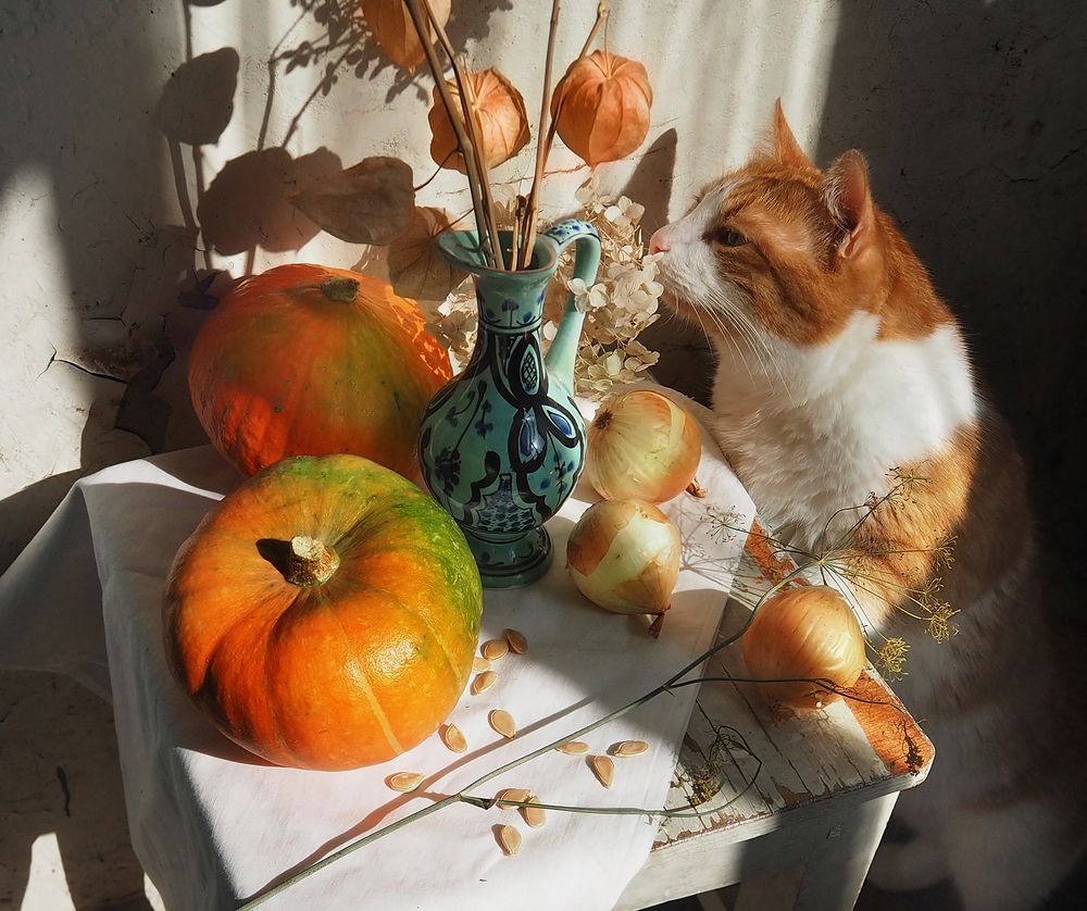 Фотография автора Vera Eremeeva