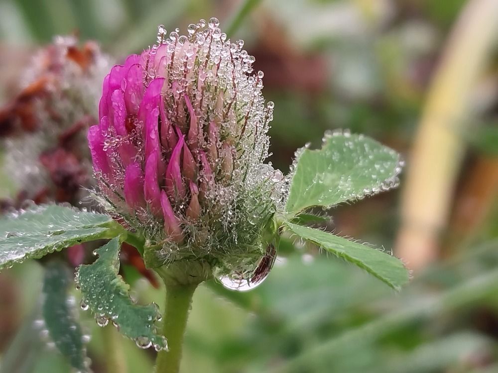 Photograph by Юлия Фирман