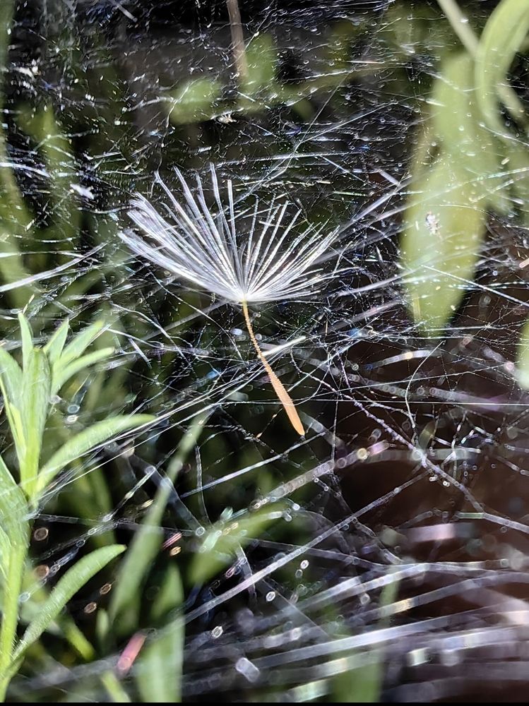 Photograph by Ирина Тихая