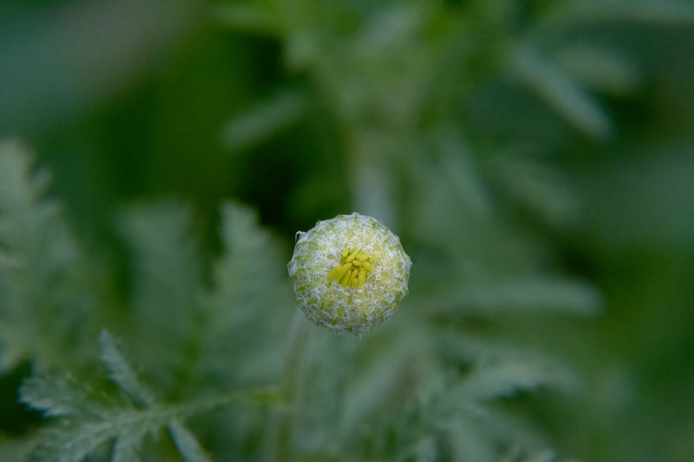 Photograph by Nicole Maria Oestreich