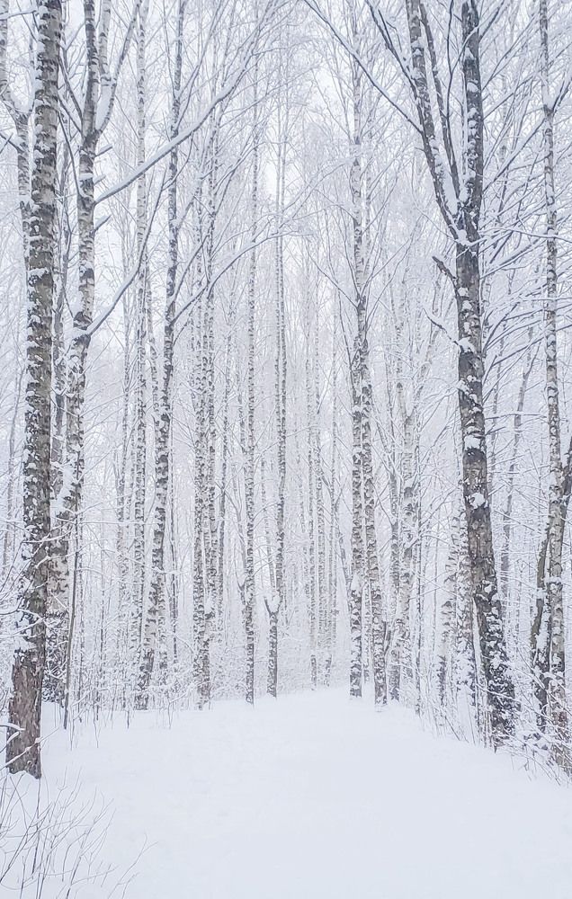 Фотография автора Галина