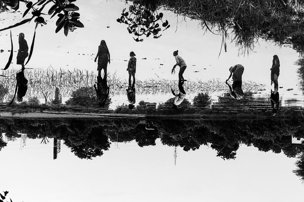 Farm in the mosnsoon