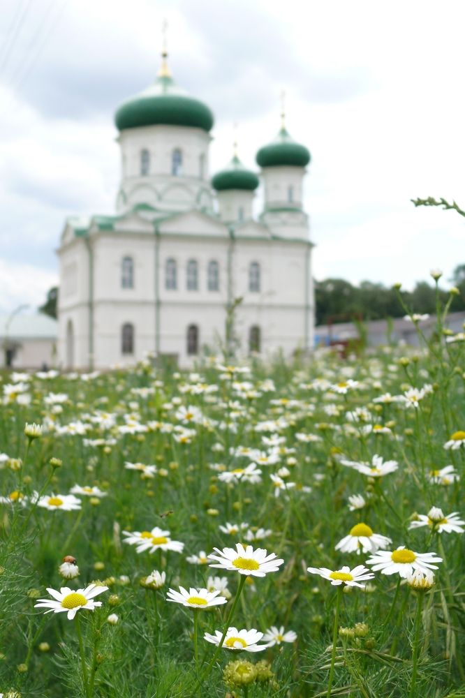 Photograph by Елена Попова