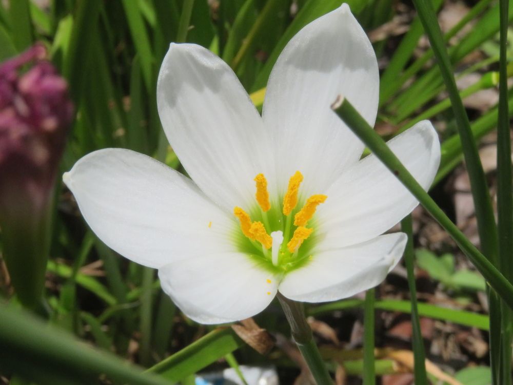 Photograph by Susmita Paul